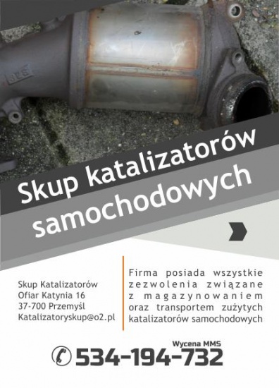 Skup Katalizatorów